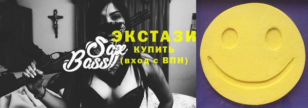 индика Заречный