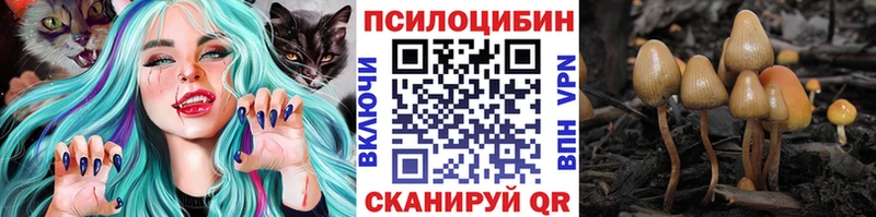 где продают наркотики  Сорск  Псилоцибиновые грибы GOLDEN TEACHER 