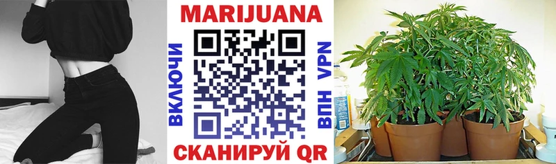 Конопля планчик  darknet состав  Сорск  мега ТОР 